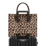 Kabelka přes rameno Reisenthel Daily Shopper Business Leo macchiato