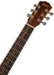 Taylor TS-BT
