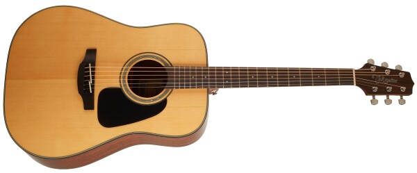 Takamine GD30-NAT