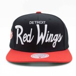 Mitchell & Ness Pánská kšiltovka Detroit Red Wings NHL Vintage Script Snapback