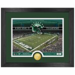 Obraz New York Jets NFL Team Stadium Bronze Coin