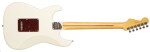 Fender American Professional II Stratocaster