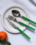 SABRE PARIS Čajová lžička Bistrot Brillant – Garden green, zelená barva, kov, plast