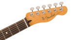 Fender Player II Telecaster RW BCG