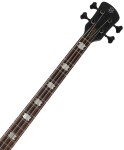 Spector Euro LX 4 Black and Blue