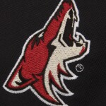 Antigua Pánské Tričko Arizona Coyotes Pique Xtra-Lite Polo Velikost: