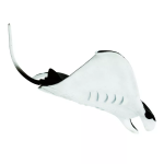 Safari Ltd. Safari Ltd. Figurka - Manta