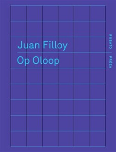 Op Oloop Juan Filloy