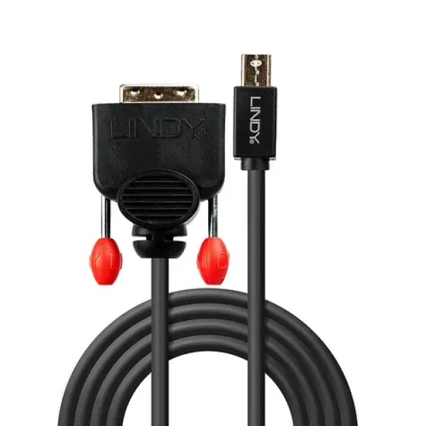 Lindy Mini DisplayPort - DVI-D černá / Redukce / 1920×1200 px / 2 m (41952)