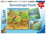 Ravensburger Zvířátka v přírodě