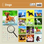 Nástěnný poznámkový kalendář 2026 Helma - Dogs