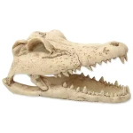 Repti Planet Dekorace Krokodýl lebka 13.8x6.8x6.5cm  (007-56013)