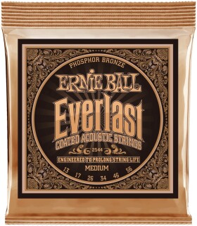 Ernie Ball 2544 Everlast Phosphor Bronze Medium