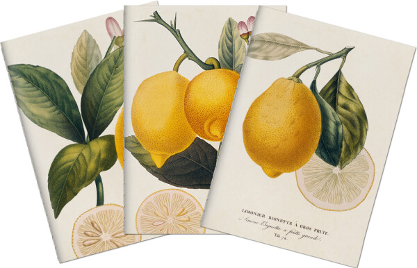 Sada tří notýsků - Lemons