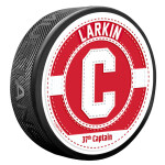 Mustang Puk Detroit Red Wings NHL Captain Jersey Stitch - Dylan Larkin