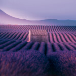 Nástěnný kalendář poznámkový 2027 Notique Provence, 30 x 30 cm