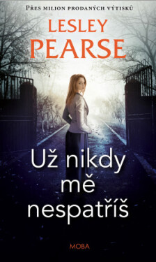 Už nikdy mě nespatříš - Lesley Pearse - e-kniha