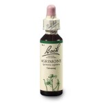Řepík lékařský (Agrimony) 20 ml - Bachovy esence Dr.Bach