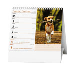 Pes věrný přítel 2025 stolní kalendář