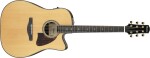Ibanez AAD381CE NT