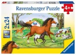 Ravensburger Svět koní