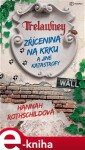 Zřícenina na krku a jiné katastrofy. Humorný román o excentrické rodině anglických aristokratů, jejich rozpadajícím se sídle a záchraně rodové cti - Hannah Rothschildová e-kniha