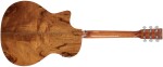 Tanglewood TWX6CEPW