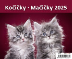 Stolní kalendář 2025 MiniMax Kočičky