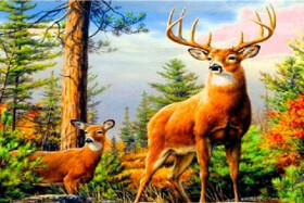 Diamantové malování Jelen v horách