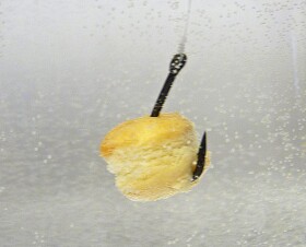 Chytil Pařený rohlík 50g - Vanilka,Chytil Pařený rohlík 50g - Vanilka