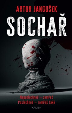 Sochař - Artur Janoušek