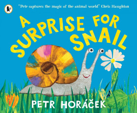Surprise for Snail - Petr Horáček
