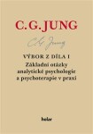 Výbor díla Základní otázky analytické psychologie psychoterapie praxi Carl Gustav Jung