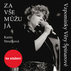 Za vše můžu já - Karin Stružková - audiokniha