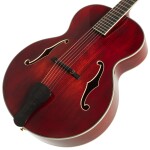 Eastman AR610
