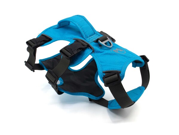 Zed sportovní postroj pro psa | 26 – 103 cm Barva: Modrá, Obvod hrudníku: 38 - 76 cm, Obvod krku: 36 - 50 cm