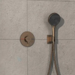 HANSGROHE - Pulsify S Sprchová hlavice, EcoSmart+, kartáčovaný bronz 24126140