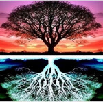 Diamantové malování Strom