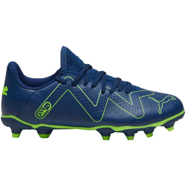 Fotbalové boty Puma Future Play FG/AG Jr 107388 03 38,5