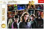 Trefl Puzzle Harry Potter s přáteli 160 dílků - Trefl