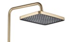 REA - Sprchový set JOE Brush Gold REA-P5656