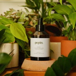 PEPIN Čisticí mlha na listy pokojových rostlin Brume 200 ml, hnědá barva, plast