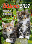 Nástěnný kalendář 2027 Helma Koťátka