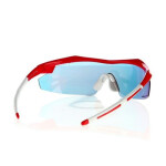 Sluneční brýle Goggle E690-3 UNI