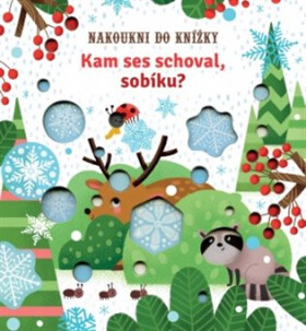 Kam ses schoval, sobíku? - Sam Taplin