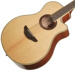Yamaha APX700 12 NT