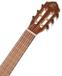 Ortega RQ39