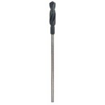 Bosch Accessories 2608596343 šalovací vrták 10 mm Celková délka 600 mm válcová stopka 1 ks