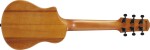 Ibanez AUP10N Natural