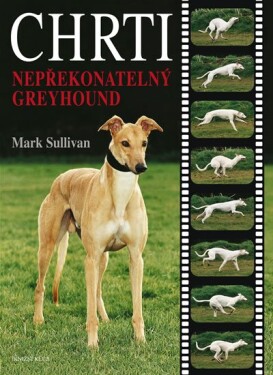 Chrti - Nepřekonatelný Greyhound - Mark Sulivan